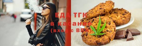 индика Абаза