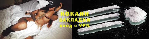 индика Абаза