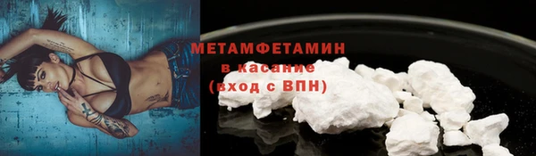 индика Абаза
