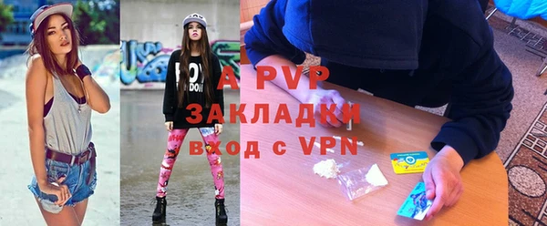 индика Абаза