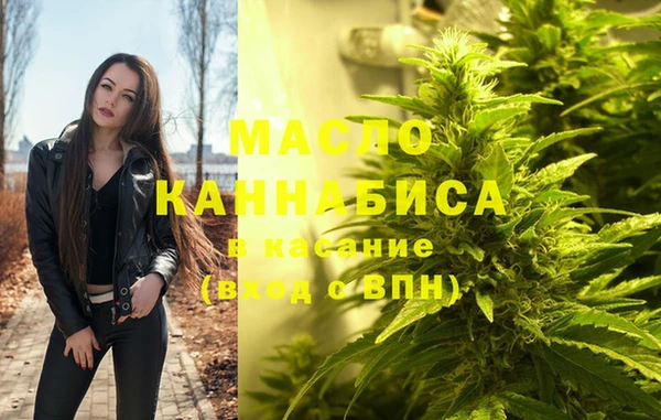 индика Абаза