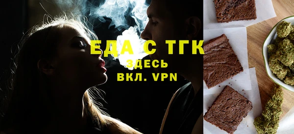 индика Абаза